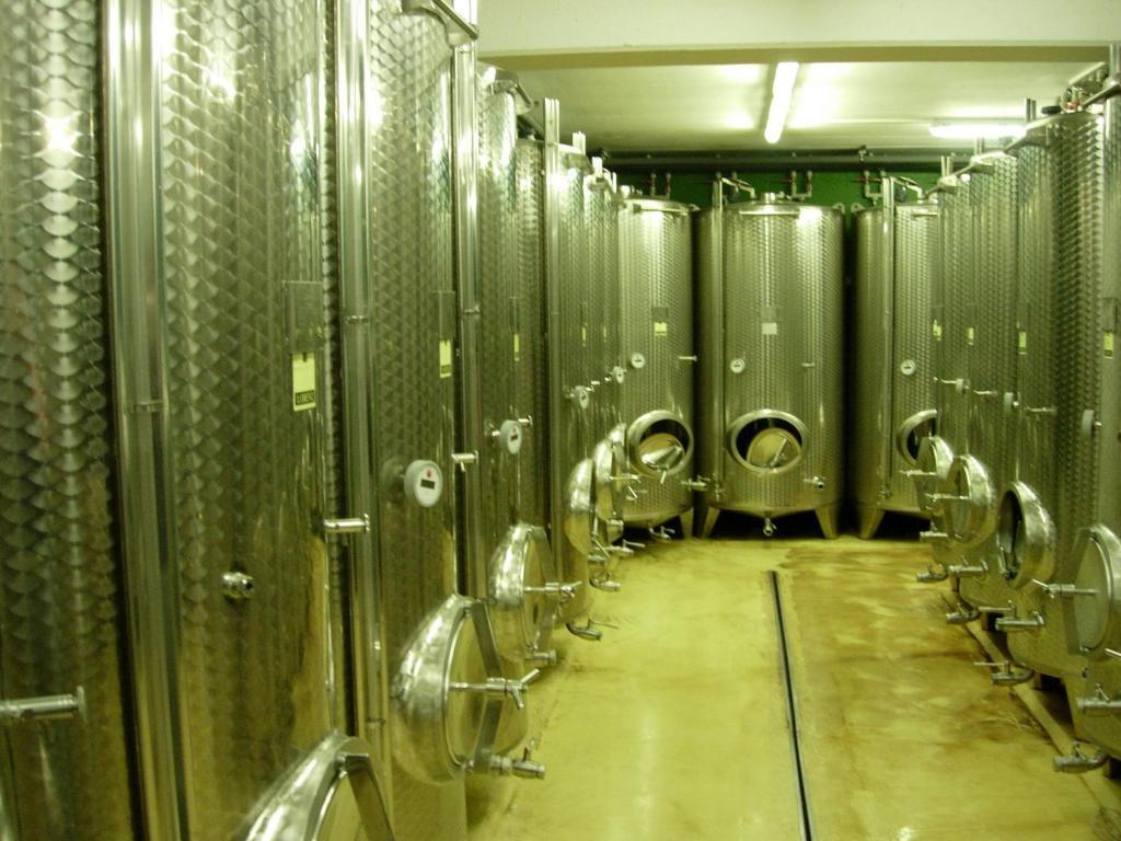 Weingut Schlafgut Genussgut Lorenz Guest House Китцек им Заусал Екстериор снимка